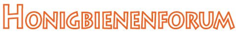 BeeSquare