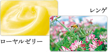 ローヤルゼリー、レンゲ