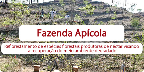 Le pâturage aux abeilles. Des plantations de sources de miellée pour renouveler l'environnement naturel.